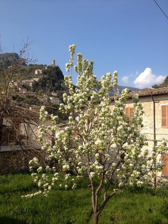 Il Borgo Agriturismo Ferentillo Zewnętrze zdjęcie